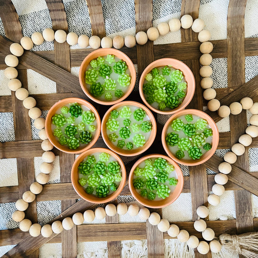 Succulent Terracotta Pot Candle