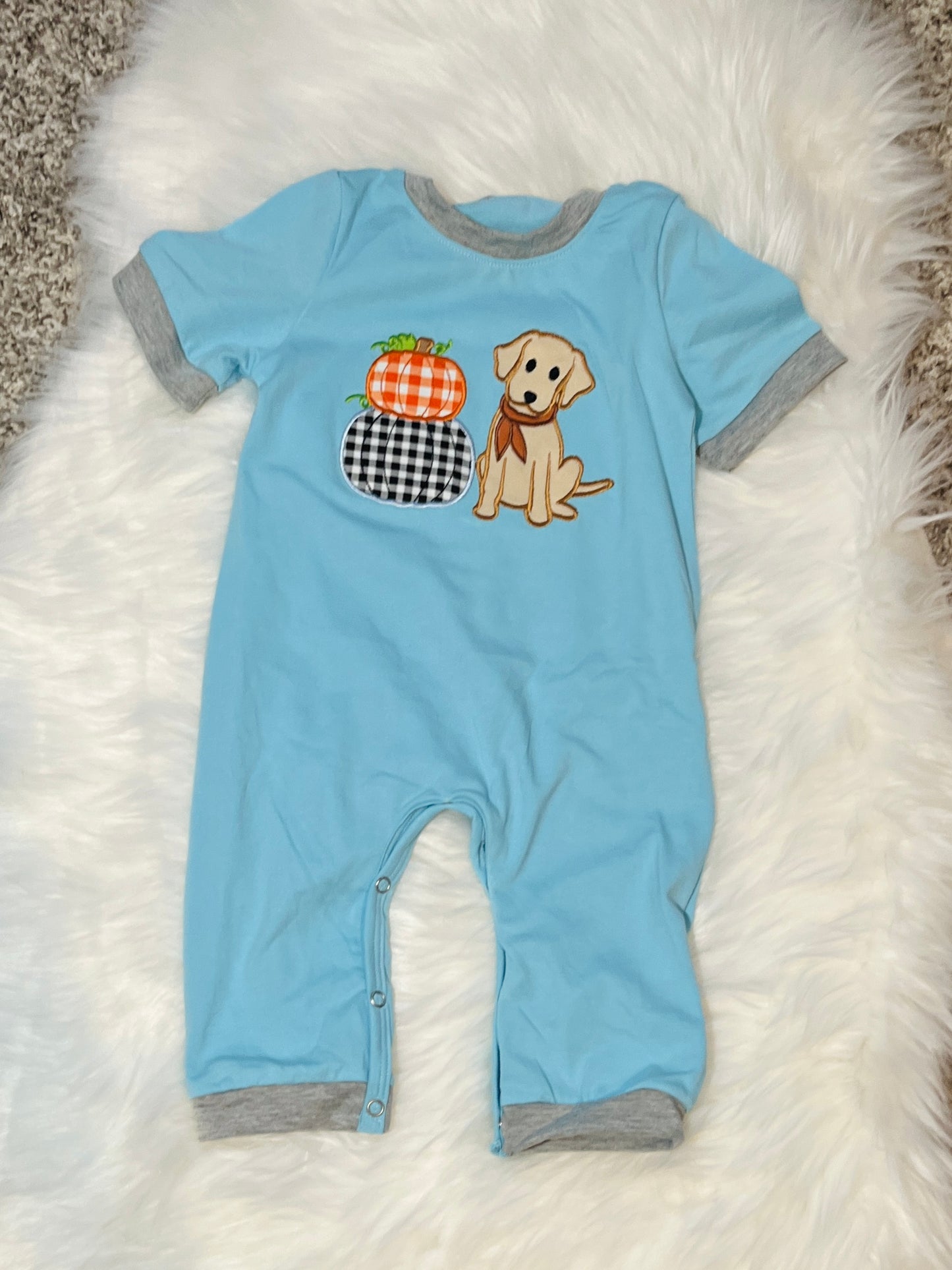 Puppies & Pumpkins Boys Romper