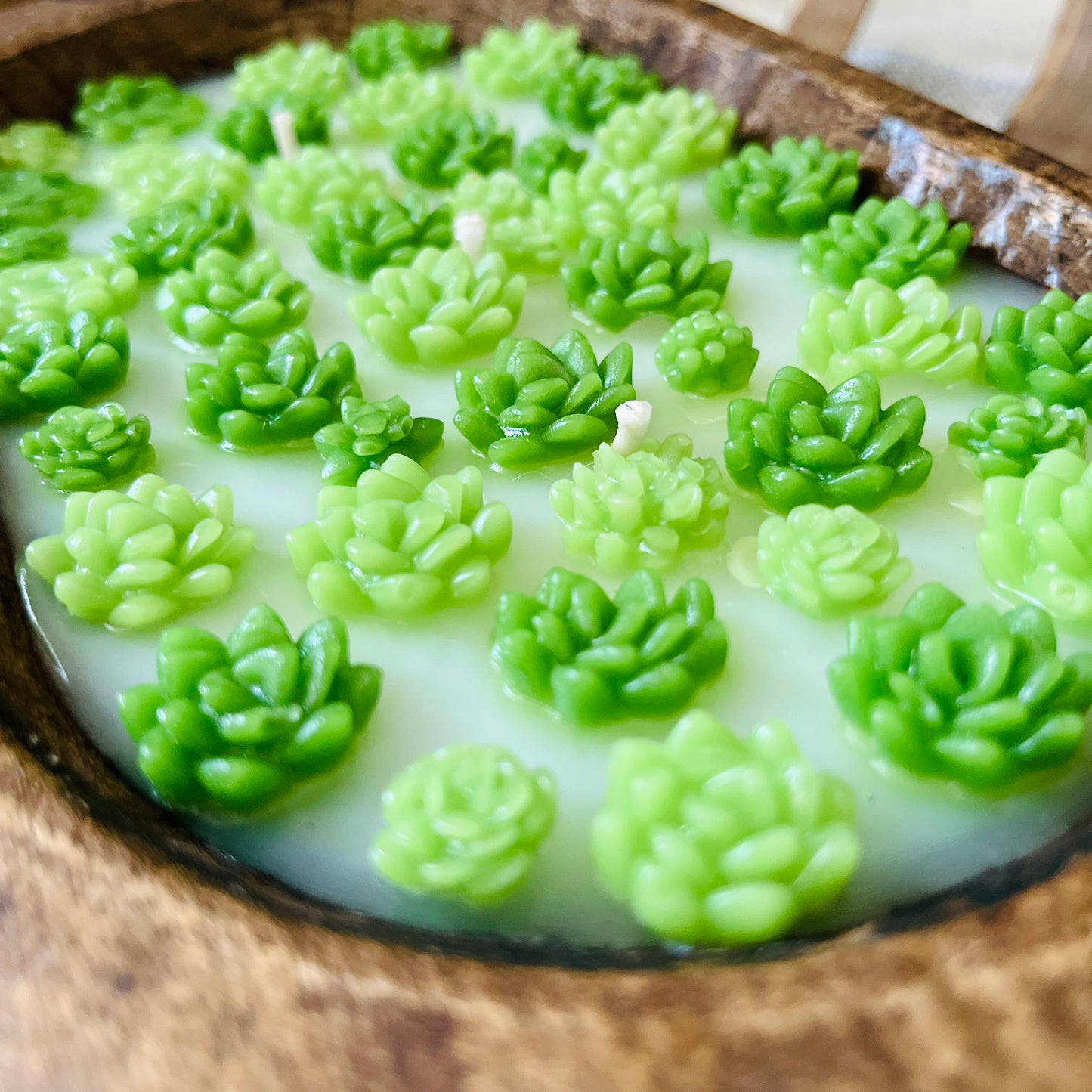 Succulent Dough Bowl Candle