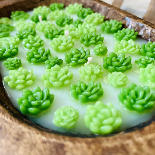 Succulent Dough Bowl Candle