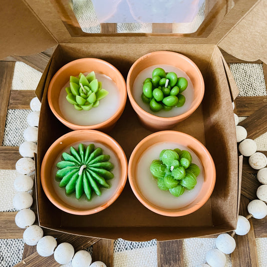 Terracotta Pot Succulent Candle - 4pack