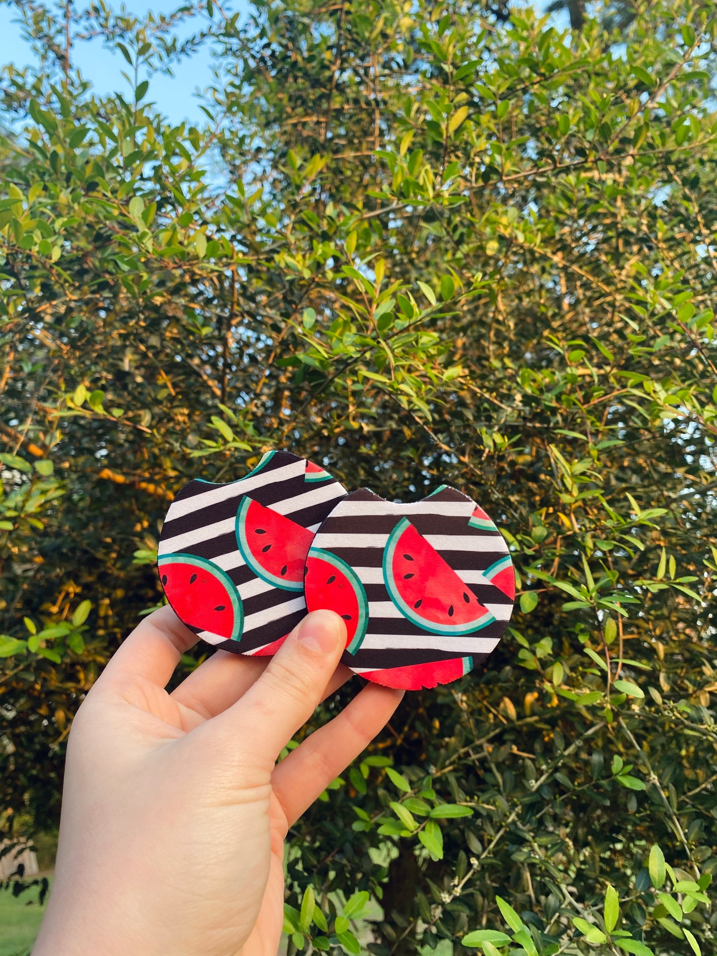 Watermelon Stripes Car Coasters